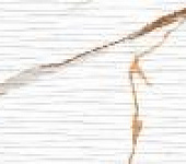������ ��������� Signorina Gold Decor 03 30*90��